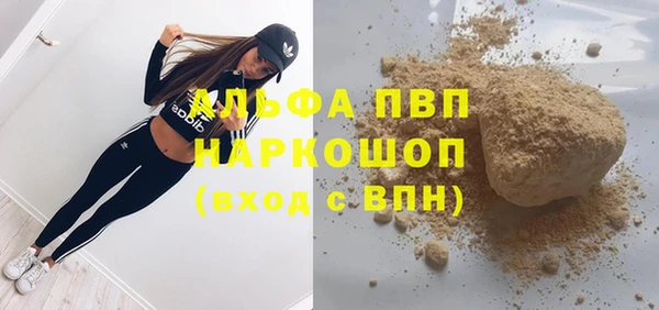 крисы Баксан