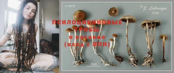 дмт Белокуриха