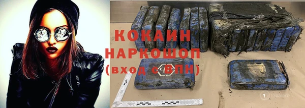 крисы Баксан