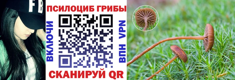 KRAKEN ONION  Володарск  Псилоцибиновые грибы мухоморы  сколько стоит 